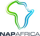 NAPAfrica Logo